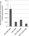 <b>Figure 5.</b>