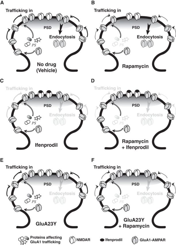 Figure 10.