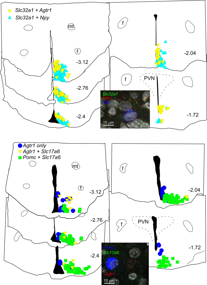 Figure 17.