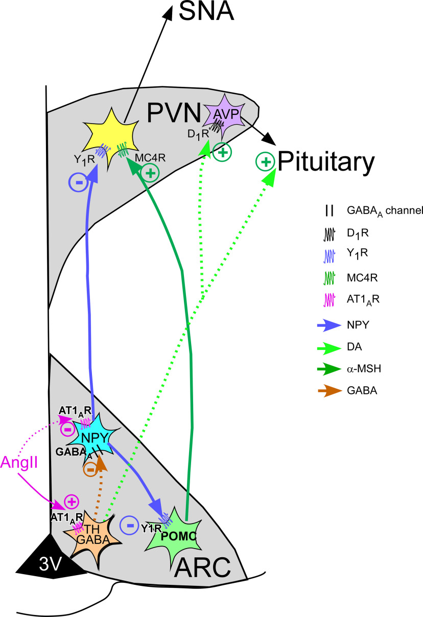 Figure 19.