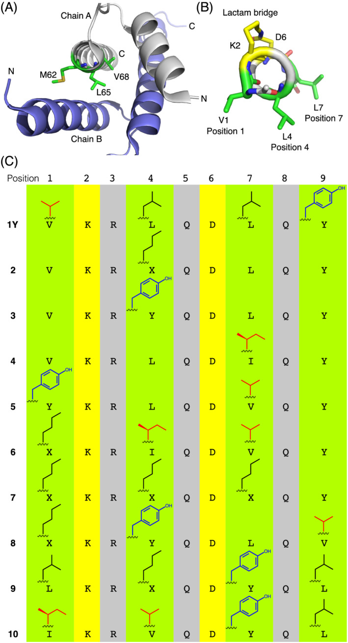 FIGURE 1