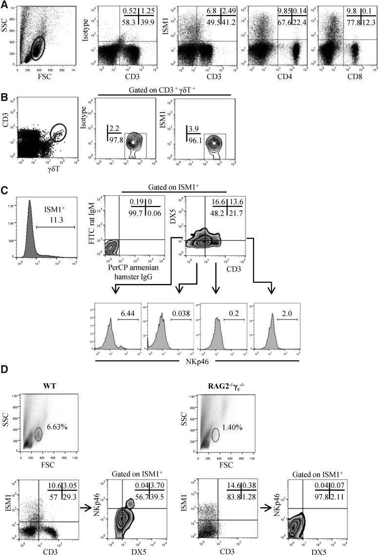 FIG. 2.