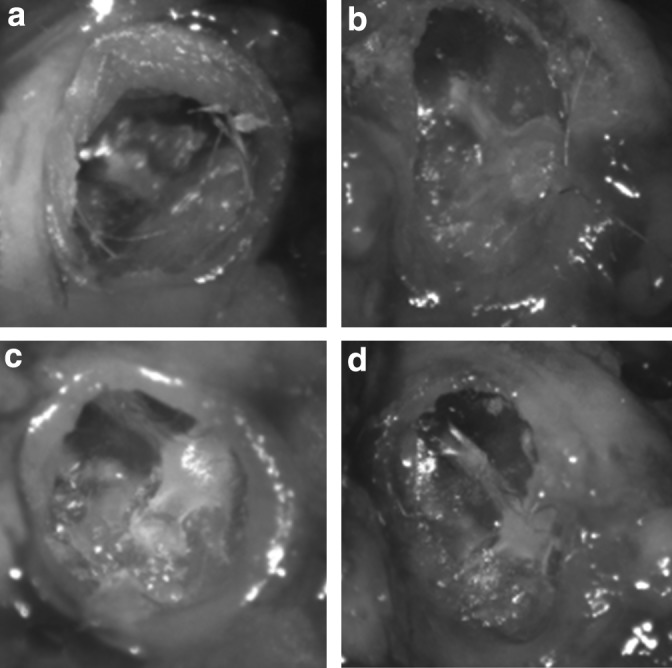 FIG. 6.