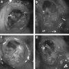 <b>FIG. 6.</b>