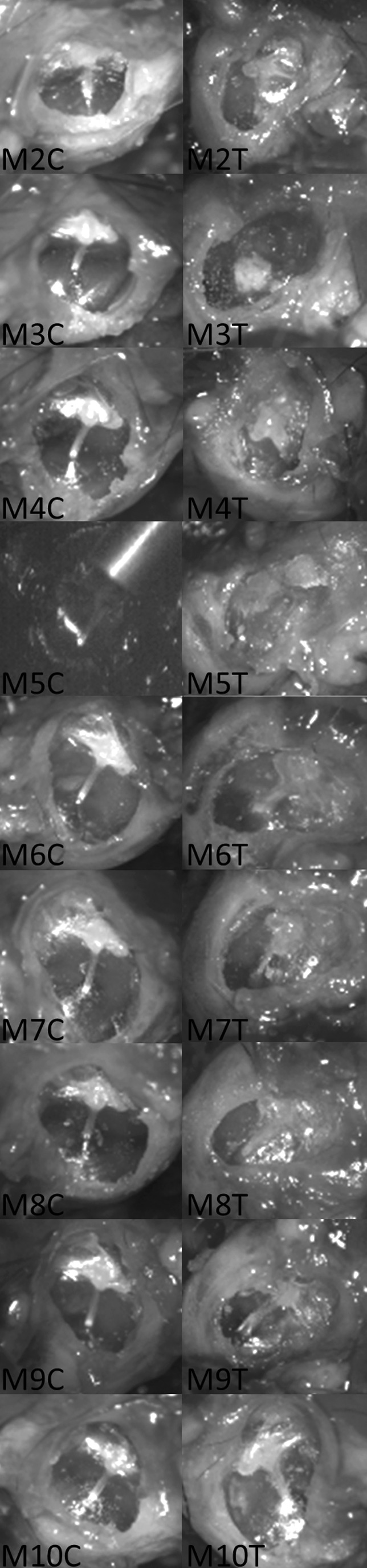 FIG. 5.