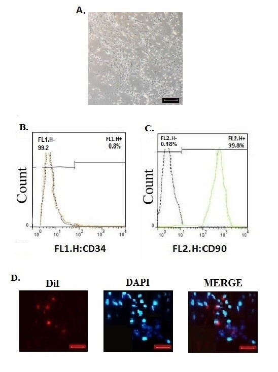 Fig. 2