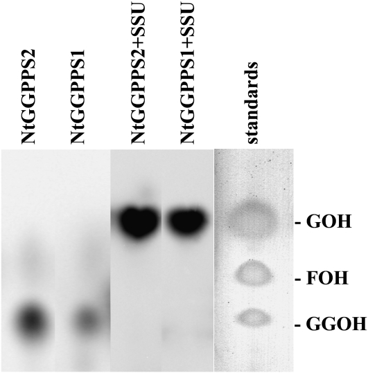 Figure 7.