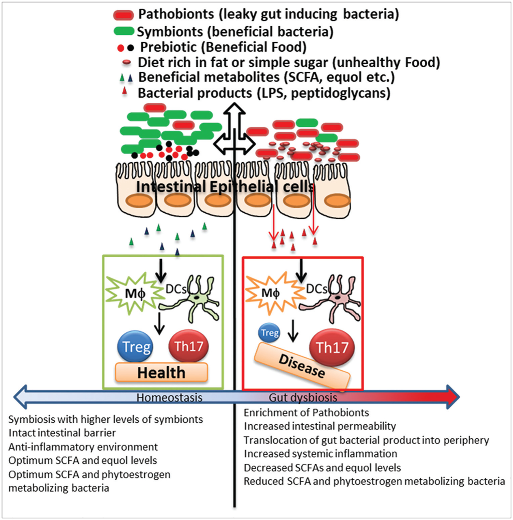 Figure 1: