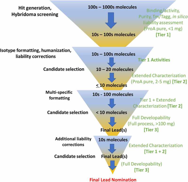 A jagged funnel is depicted to illustrate different stages of the discovery-screening and selection process. The funnel expands and contracts going from initial candidate screening and selection to isotype and multispecific formatting, humanization, liability corrections, and additional rounds of screening and selection. On the right, the analytics appropriate for each stage are listed as Tiers 1-3. Within the funnel, the number of molecules appropriate for each stage are proposed.