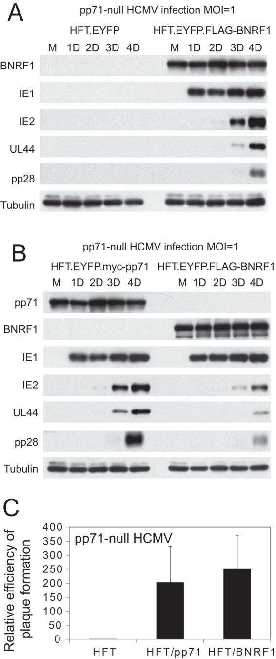 FIG 6