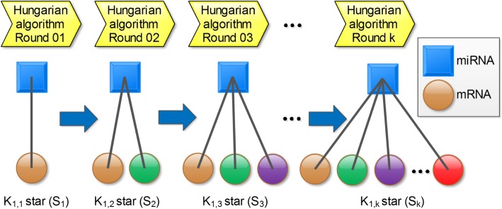 Fig. 10