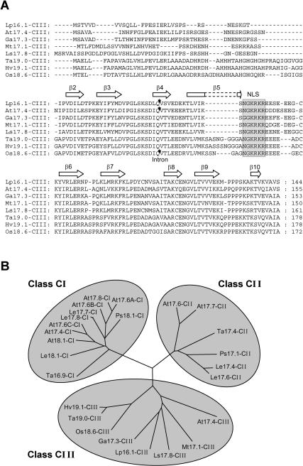 Fig 7.