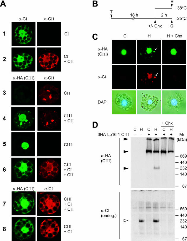 Fig 6.