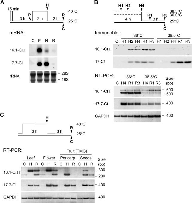 Fig 2.