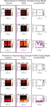 Figure 4—figure supplement 3.
