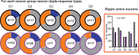 Figure 4—figure supplement 1.