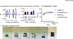 Figure 1—figure supplement 1.