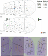 Figure 2—figure supplement 3.