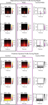 Figure 4—figure supplement 2.