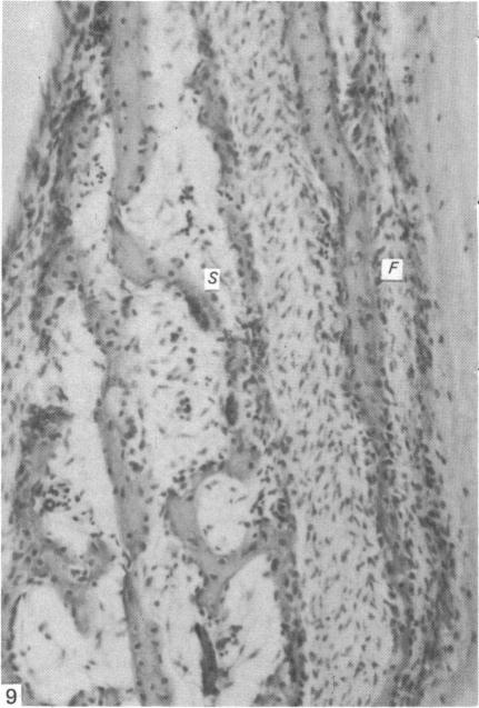 Fig. 9