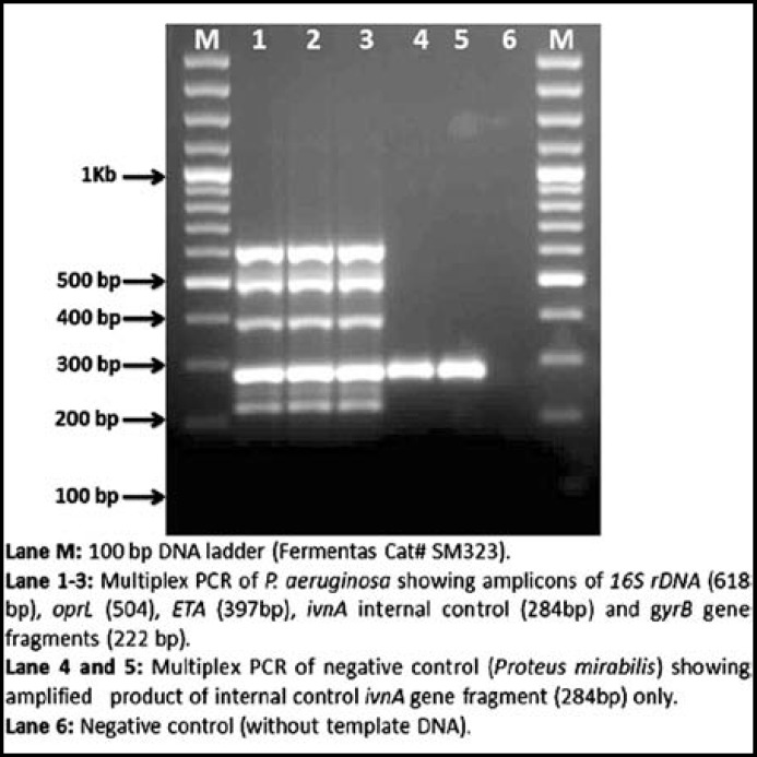 Fig.1