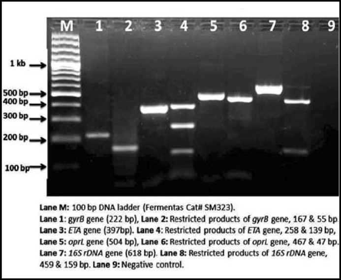 Fig.2