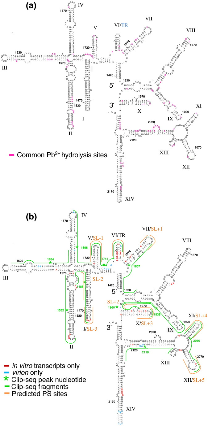 Fig. 6