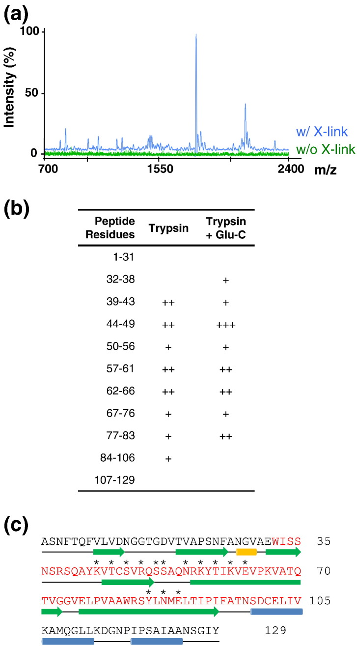 Fig. 2