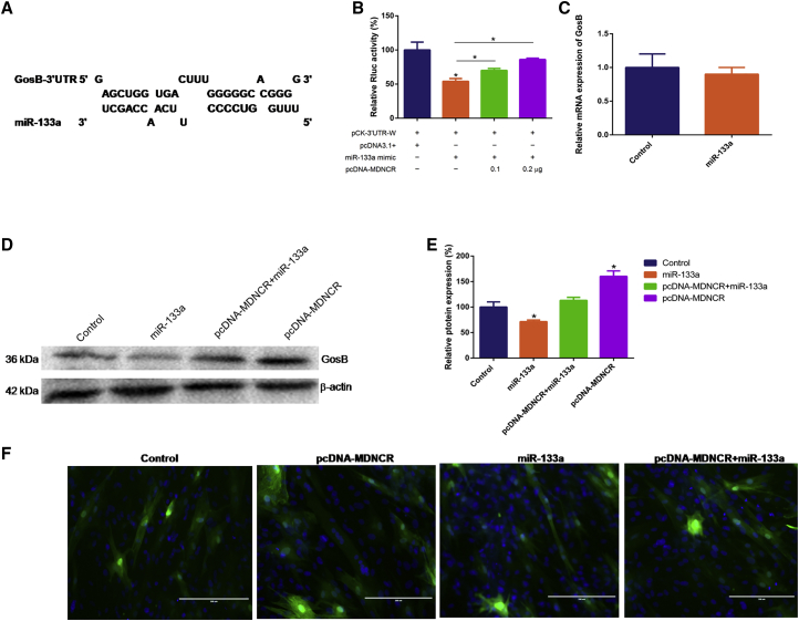 Figure 6