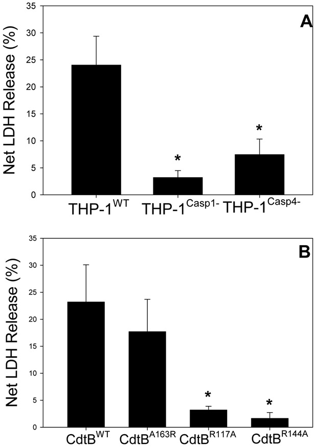 Fig.2