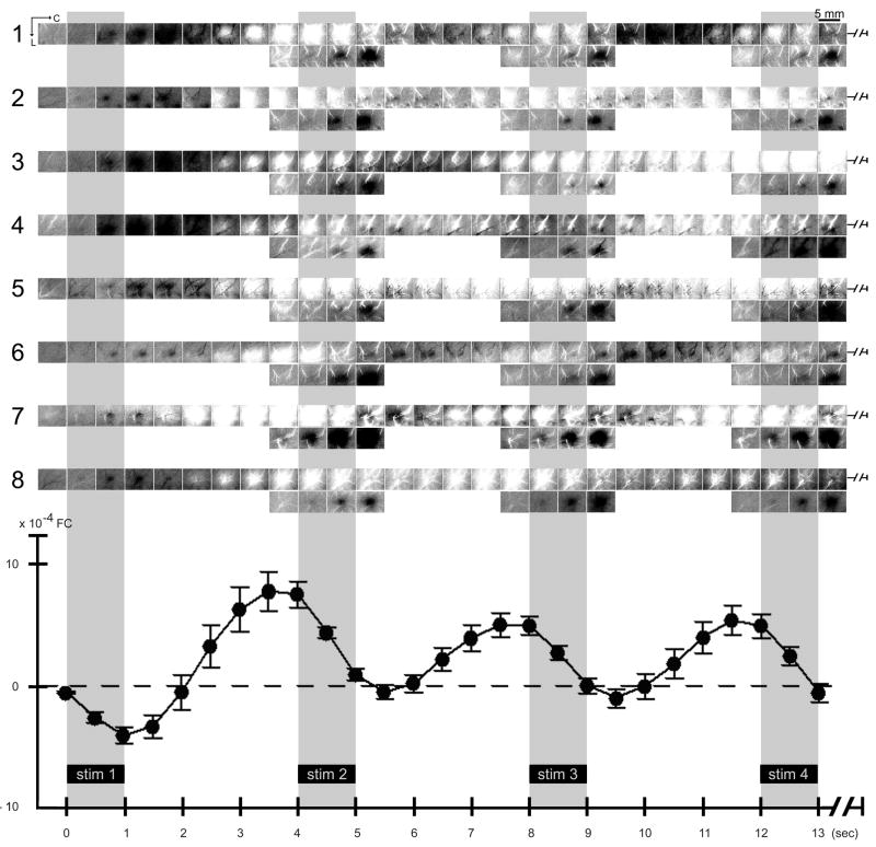 Fig. 5