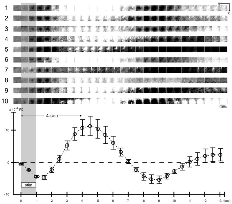 Fig. 2