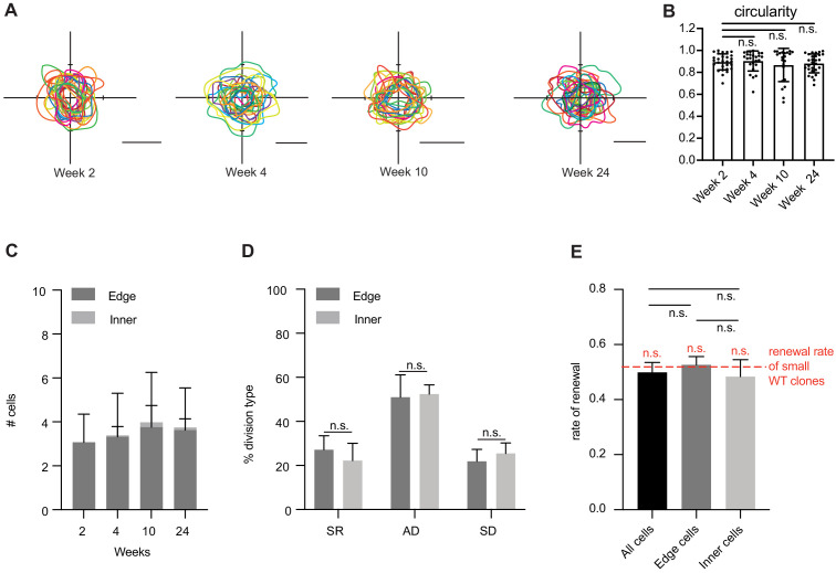 Figure 3—figure supplement 1.