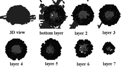 Fig. 6.