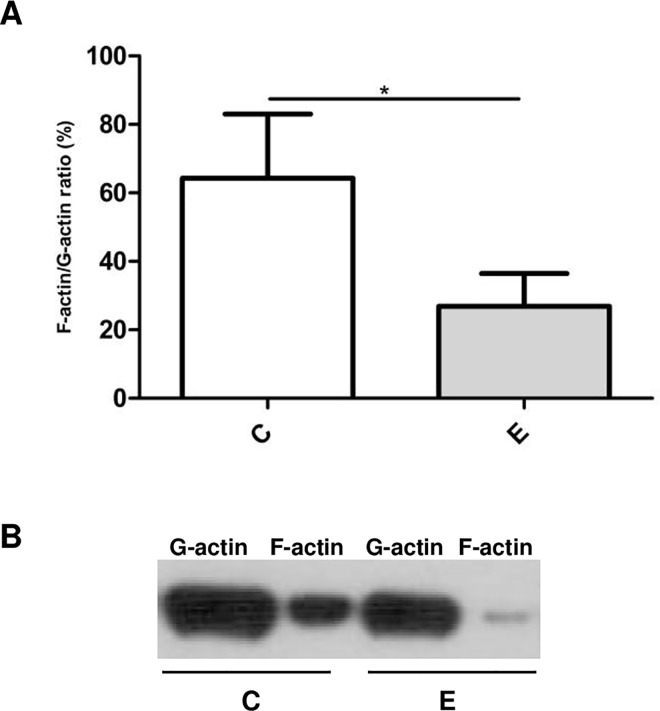 Fig 4