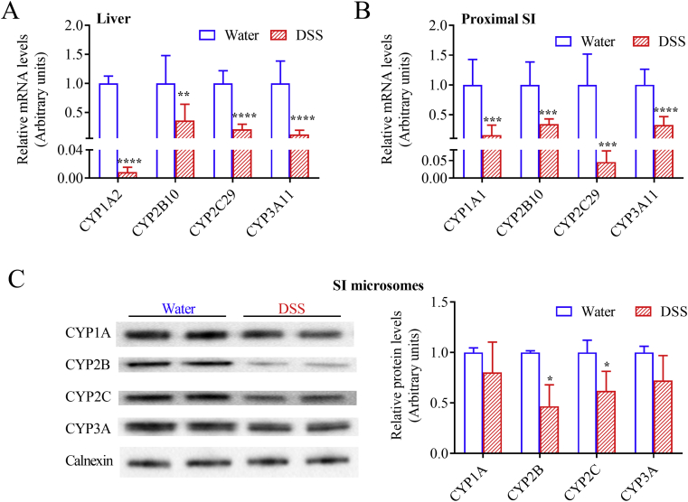 Figure 2
