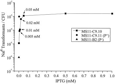 FIG. 6