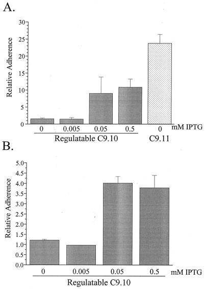 FIG. 7