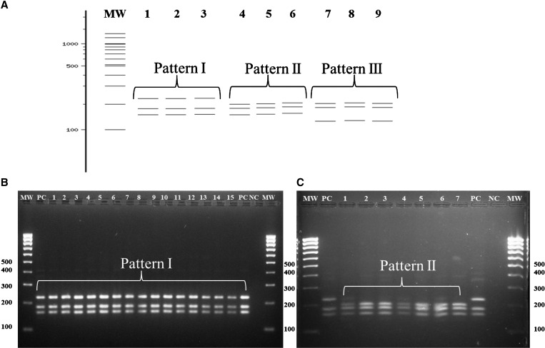 Figure 2.