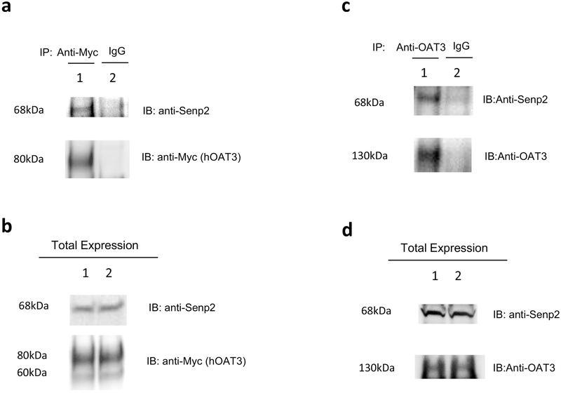 Fig. 9.