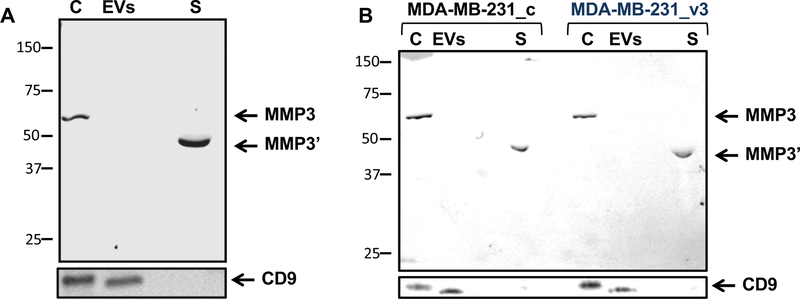 Figure 4: