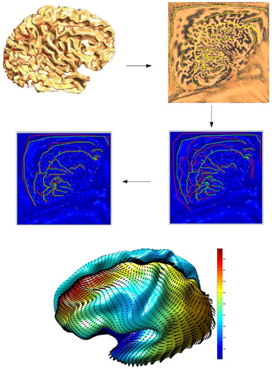 Fig. 2