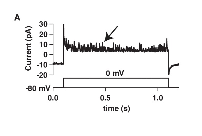 Figure 2—figure supplement 1.