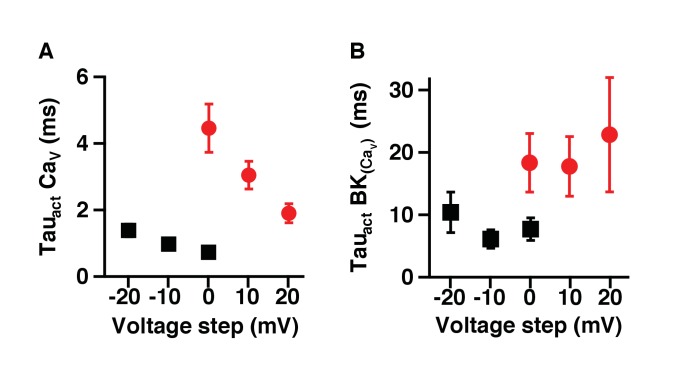 Figure 1—figure supplement 2.