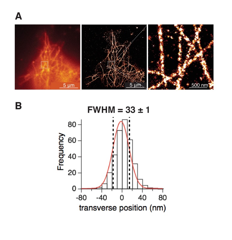 Figure 4—figure supplement 1.