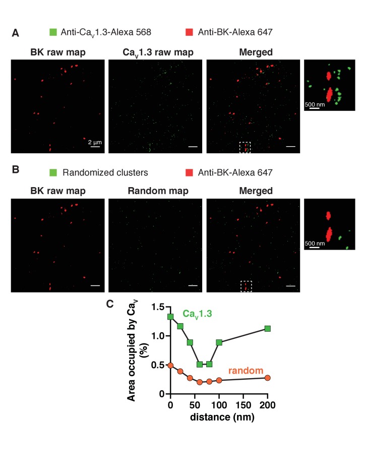 Figure 4—figure supplement 5.