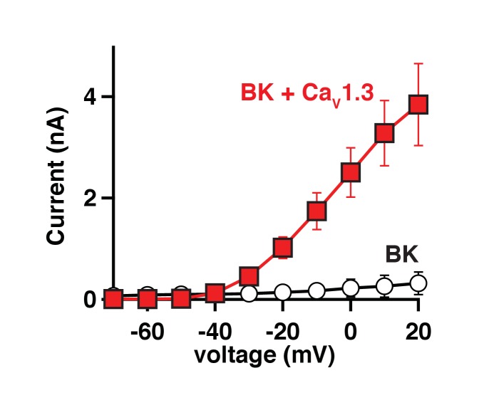 Figure 1—figure supplement 1.