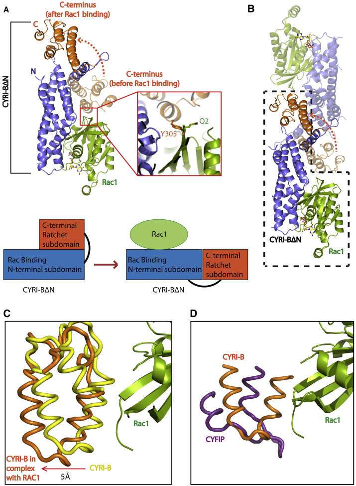 Figure 5