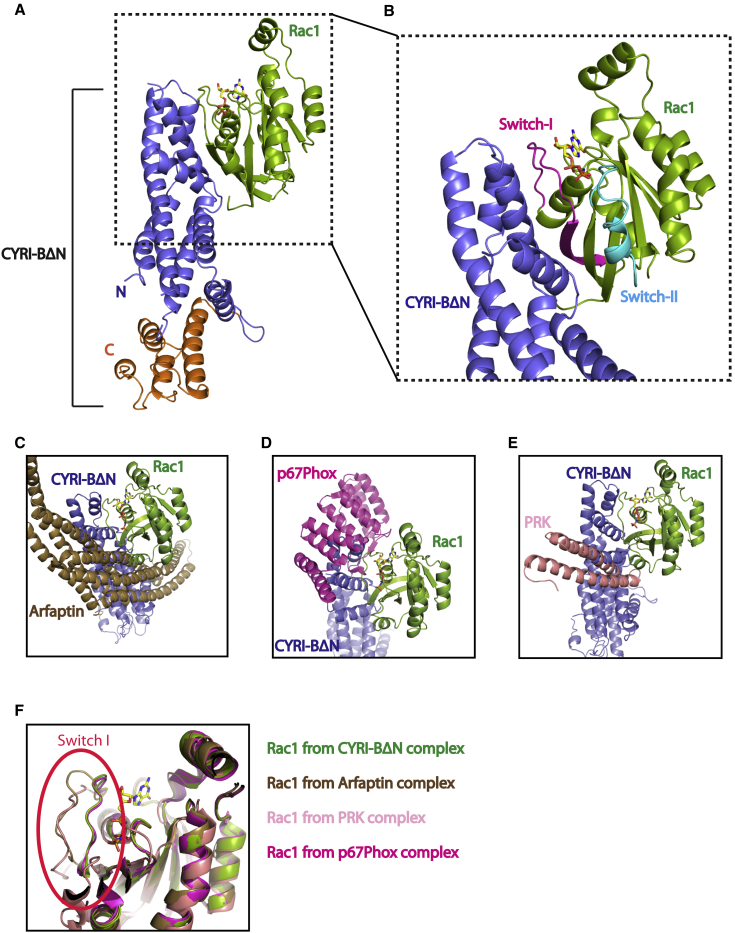 Figure 2