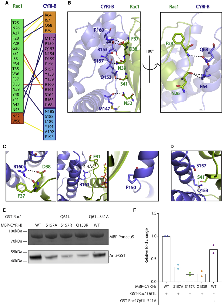 Figure 3